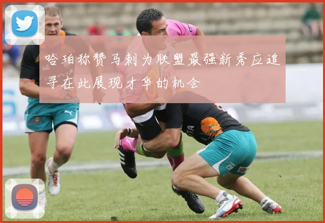 哈珀称赞马刺为联盟最强新秀应追寻在此展现才华的机会