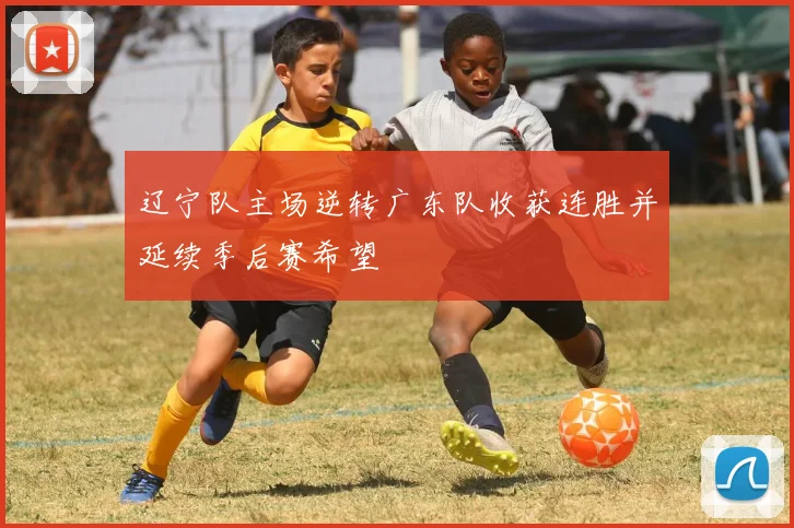 辽宁队主场逆转广东队收获连胜并延续季后赛希望