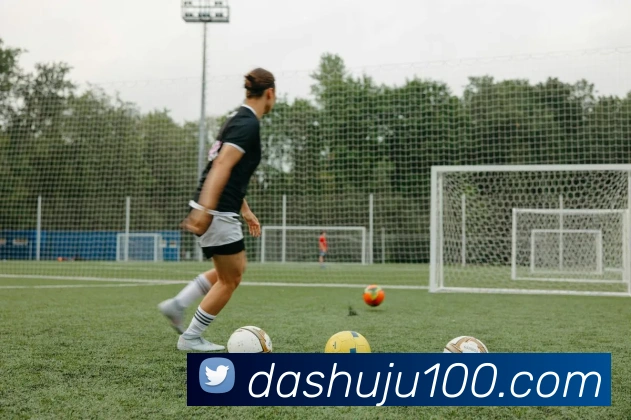 星空网官网平台生态图